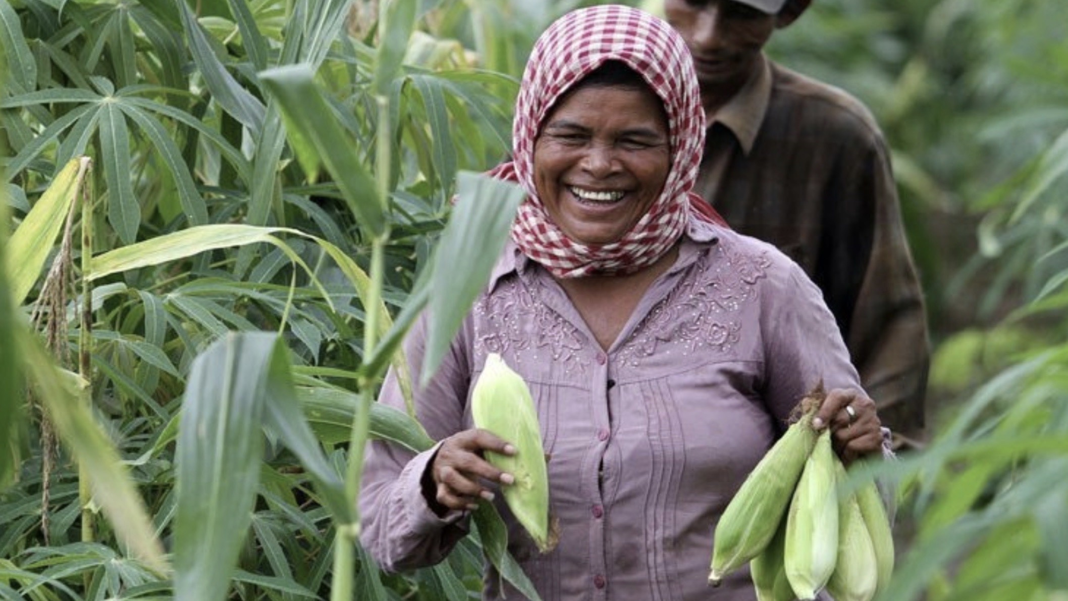 2025前10个月柬埔寨农产品出口增长28.5%，创收41.8亿美元