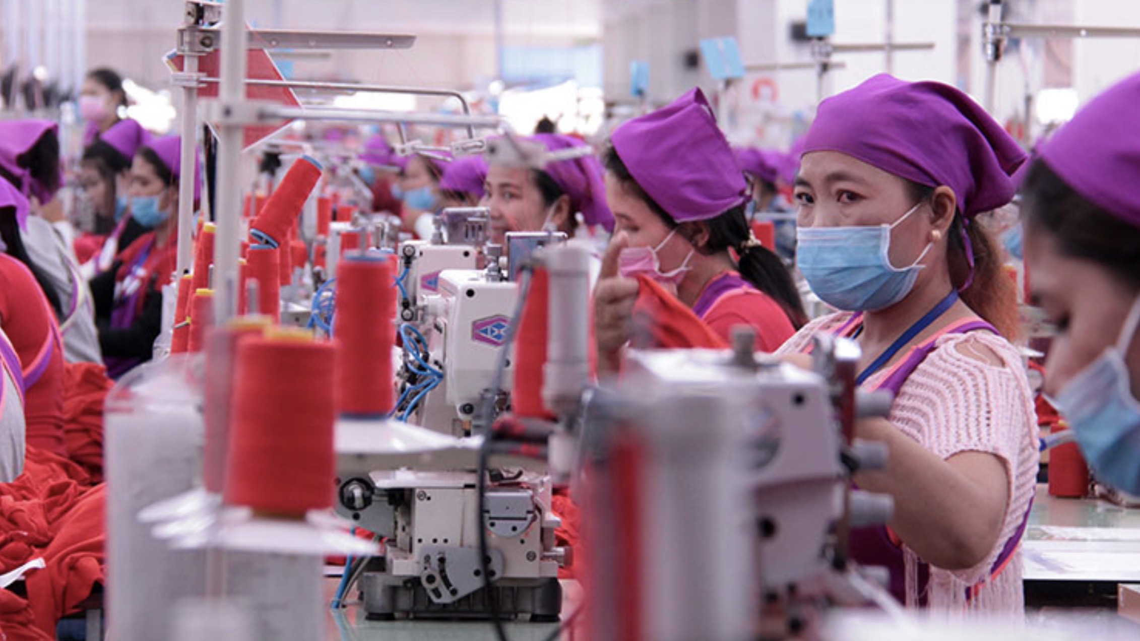 2025年柬埔寨工厂及企业突破4.6万家，服装业新增310家工厂
