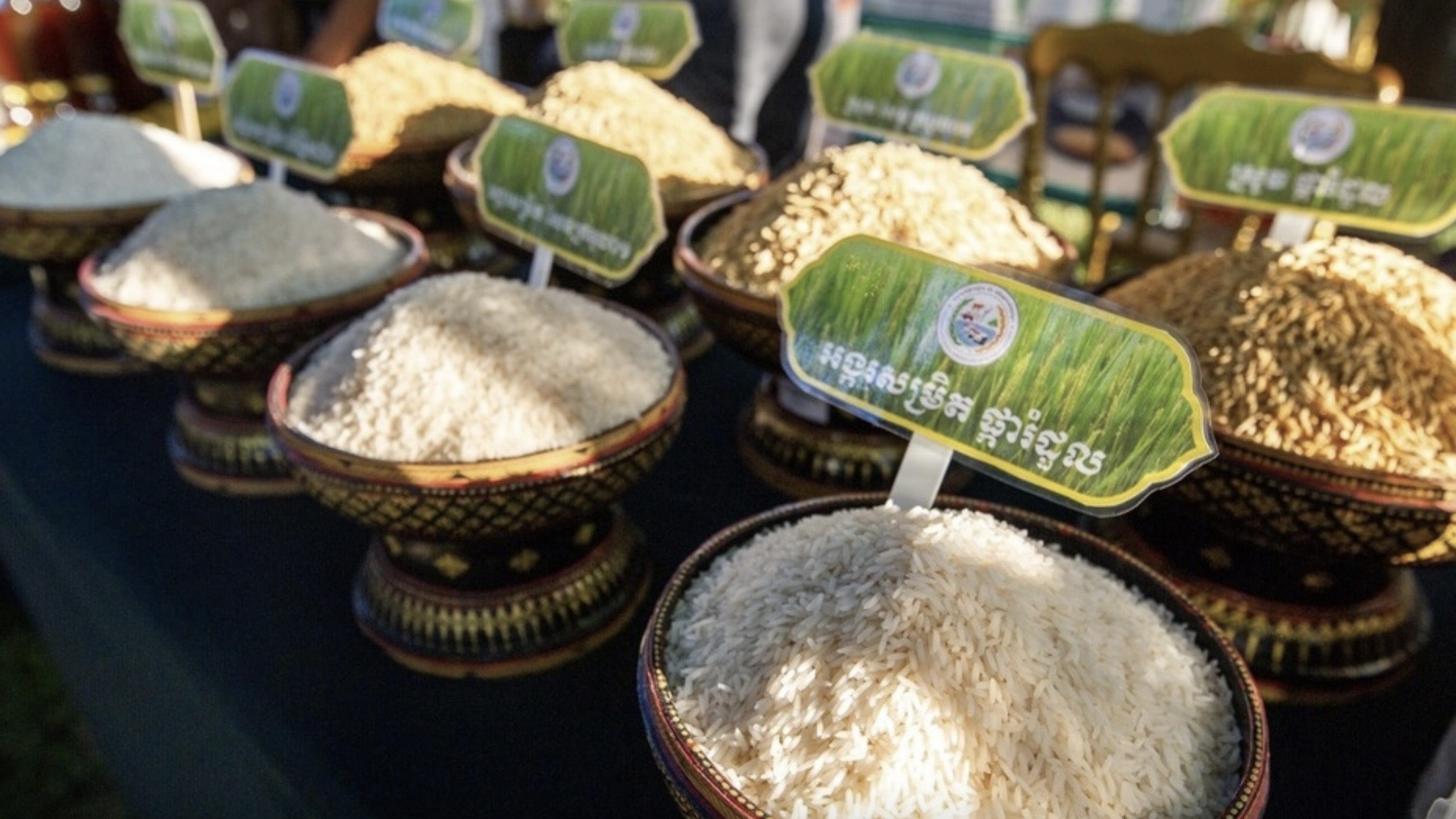 今年第一季度柬埔寨向中国出口大米8.9万吨，出口额超5638万美元